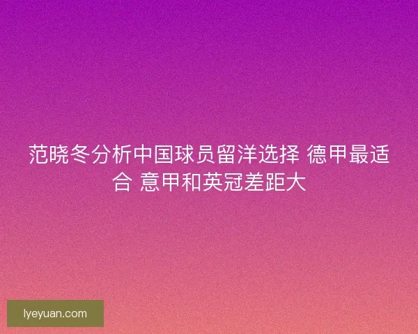 范晓冬分析中国球员留洋选择 德甲最适合 意甲和英冠差距大