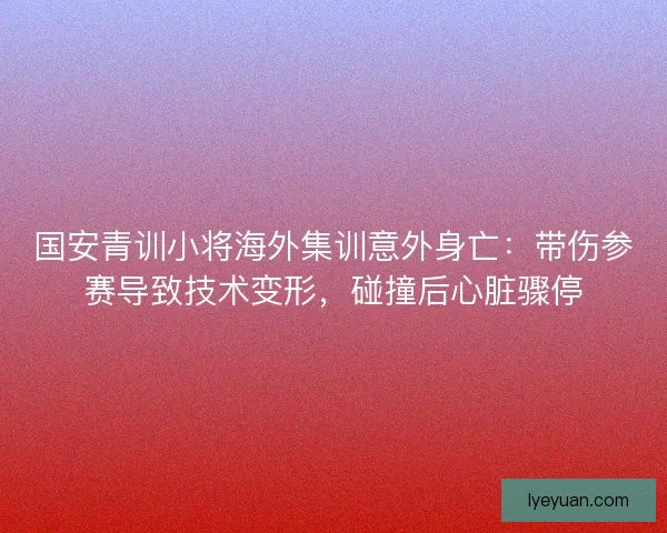 国安青训小将海外集训意外身亡：带伤参赛导致技术变形，碰撞后心脏骤停