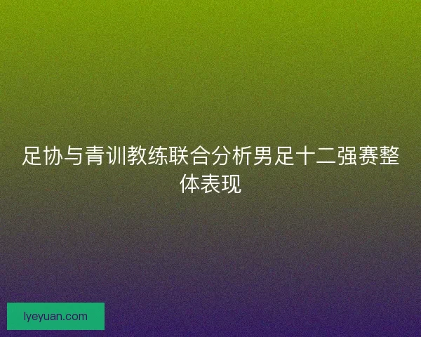 足协与青训教练联合分析男足十二强赛整体表现
