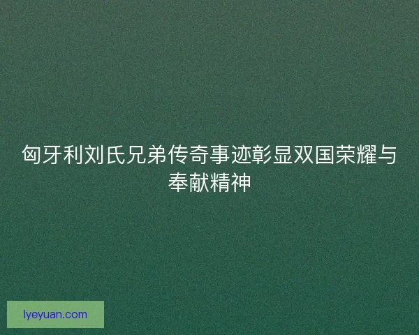 匈牙利刘氏兄弟传奇事迹彰显双国荣耀与奉献精神